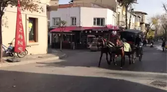 Adalar'da ruam hastalığına yakalanan atların itlaf edilmesi