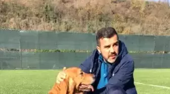 Alper Avcı: 'Daha iyi yerde olabilirdik'