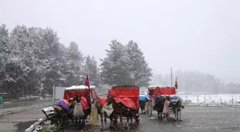 Bolu'da, Ruam hastalığı şüphesiyle 8 at karantinaya alındı