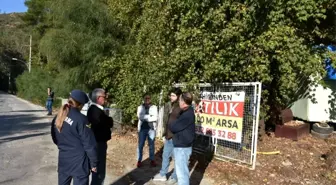 Marmaris'te sahipli köpekler zehirlendi