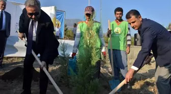 Mersin'de Uluslararası Turunçgil Kongresi Hatıra Ormanı oluşturuldu