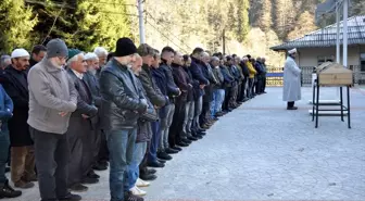 Rize'de üzerine ağaç devrilerek ölen çiftin cenazesi Ankara'ya gönderildi