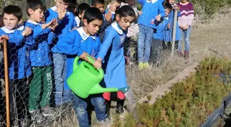 Santim santim fidandan hatıra ormanına