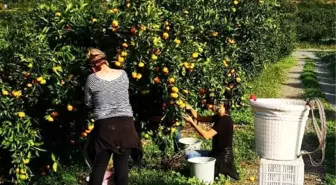 Yeşil sahaların yıldızları lösemili çocuklar için biraraya geldi