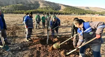 Ekoköy'de fidanlar toprakla buluştu