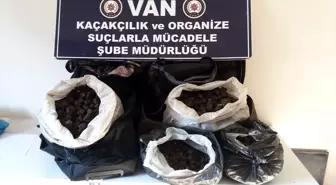 Van'da trüf mantarı kaçırmaya çalışan 4 İranlı yakalandı