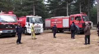 Bursa'da orman yangını (2)