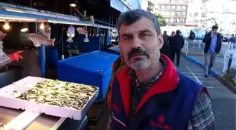 Hamsi Gürcistan'a yöneldi, tezgâhlar istavritle doldu