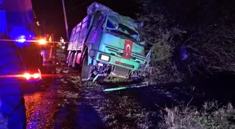 Manisa'da ağaca çarpan kamyonun sürücüsü öldü