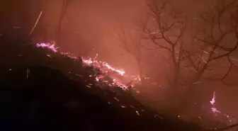 Trabzon'daki orman yangını