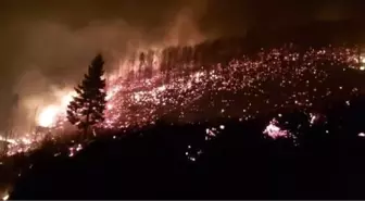 Trabzon'un Arsin ilçesinde orman yangını