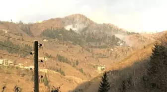 Örtü yangınları ile ilgili Valilik'ten bir açıklama daha geldi