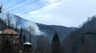 Örtü yangınları Rize'de de başladı