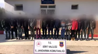 Siirt'te Bangladeş uyruklu 15 düzensiz göçmen yakalandı