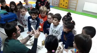 Tekirdağ'dan kısa kısa