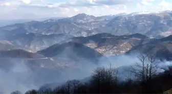 Trabzon'daki örtü yangınları devam ediyor