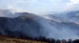 Trabzon'un Dernekpazarı ilçesindeki örtü yangınları devam ediyor