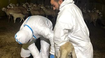 Mucur İlçe Tarım Müdürü İbrahim Yücekaya Açıklaması