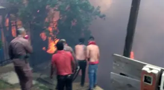 Şili'de orman yangınının sabotaj olduğu iddiası