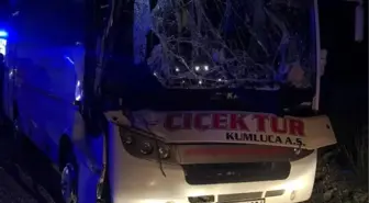 Kemer'de otomobilin çarptığı at öldü, 4 kişi yaralandı