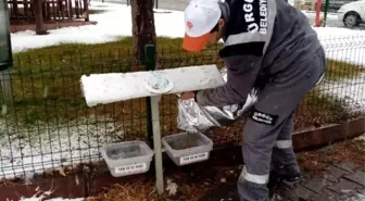 Ürgüp Belediyesi Sokak hayvanlarını unutmadı