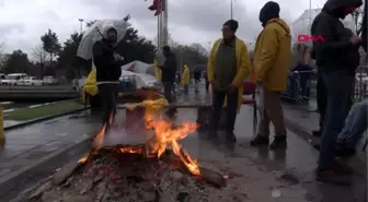 İbb'den işten çıkarılanlar ve hayvanseverler soğuk havaya rağmen eylemlerine devam ediyor