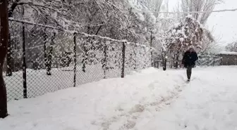 Şırnak'ta kar yağışı hayatı olumsuz etkiledi