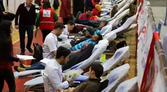 Ordu'da iki günde bin 600 ünite kan toplandı