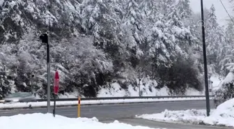 Bolu Dağı'nda kar yağışı devam ediyor