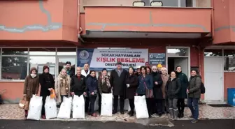 Kartal Belediyesi'nden sokaktaki sevimli dostlara mama desteği