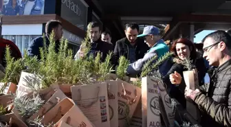 'Yeni Yıla Fidan Dikerek Girelim' projesi