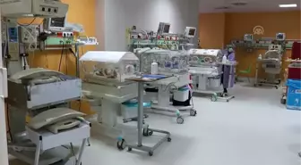 490 gramlık bebek hastanenin maskotu oldu