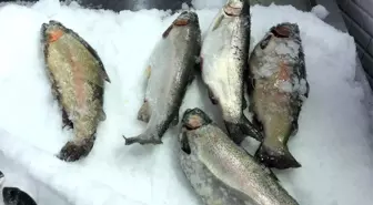 Olumsuz hava tezgahlara yansıdı
