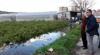 Tarla ve seraları su bastı, üretici tahliye mesaisine başladı