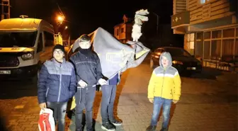 Yılbaşı devesi ile harçlık topladılar