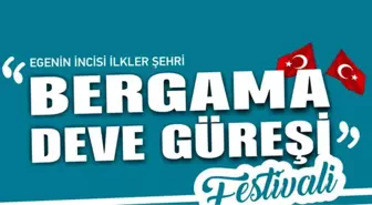 Bergama Deve Güreşi Festivali'ne hazırlanıyor