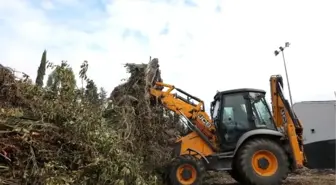 Ödüllü 'bio briket' çevreyi koruyup, ev ve seraları ısıtacak