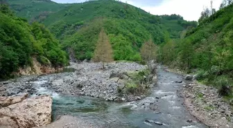 Ordu'daki Bolaman Havzası ıslah edilecek