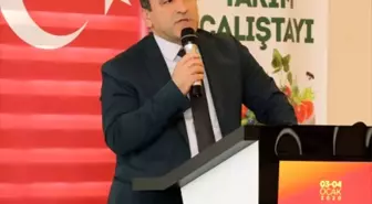 Beykoz Tarım Çalıştayı başladı