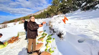 Sokak hayvanları için doğaya yem bırakıldı