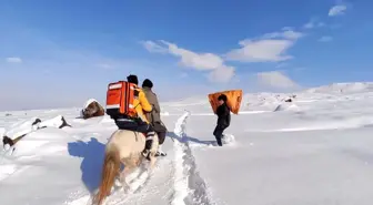 'Hızır' ekibi rahatsızlanan hamile kadına at sırtında ulaştı