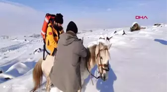 Erzurum sağlık ekibi, atla geldikleri köydeki hastayı kızakla götürdü