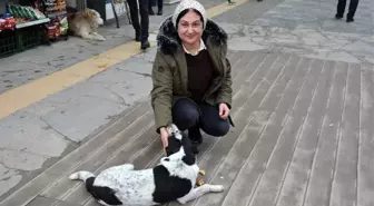 Soğuk kış aylarında sokak köpeklerine destek oluyor