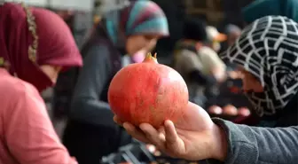 Antalya'dan İngiltere ve Ukrayna'ya nar ihracatı