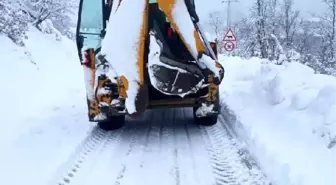 İzmir'in Kiraz ilçesinde kar yağışı