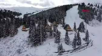 Ordu çambaşı yaylası'ndaki bungalov evlere ilgi