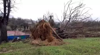 Silivri'de fırtına ve yağış