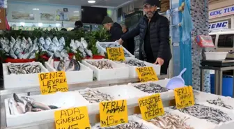 Gürcistan hamsisi tezgahları süslüyor