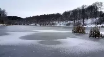 Göktepe Göleti buz tutu