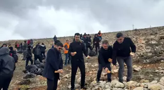 Malatya'da yaban hayvanları için doğaya yiyecek bırakıldı